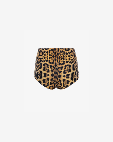Boxeri High on Leopard