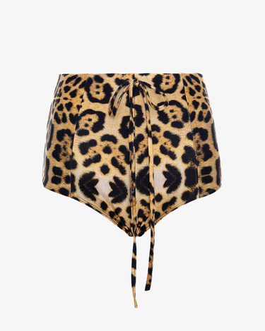 Boxeri High on Leopard