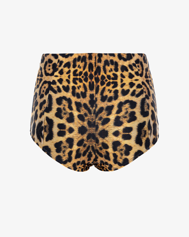 Boxeri High on Leopard